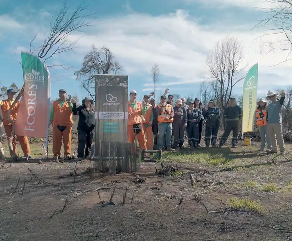 Trabajo técnico en terreno con plantas nativas