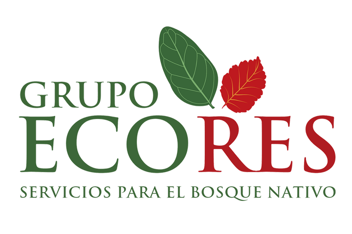Grupo ECORES