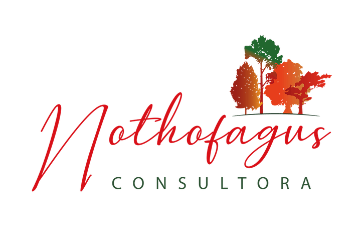 Consultora Nothofagus